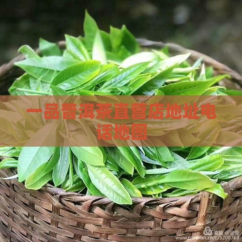 一品普洱茶直营店地址电话地图