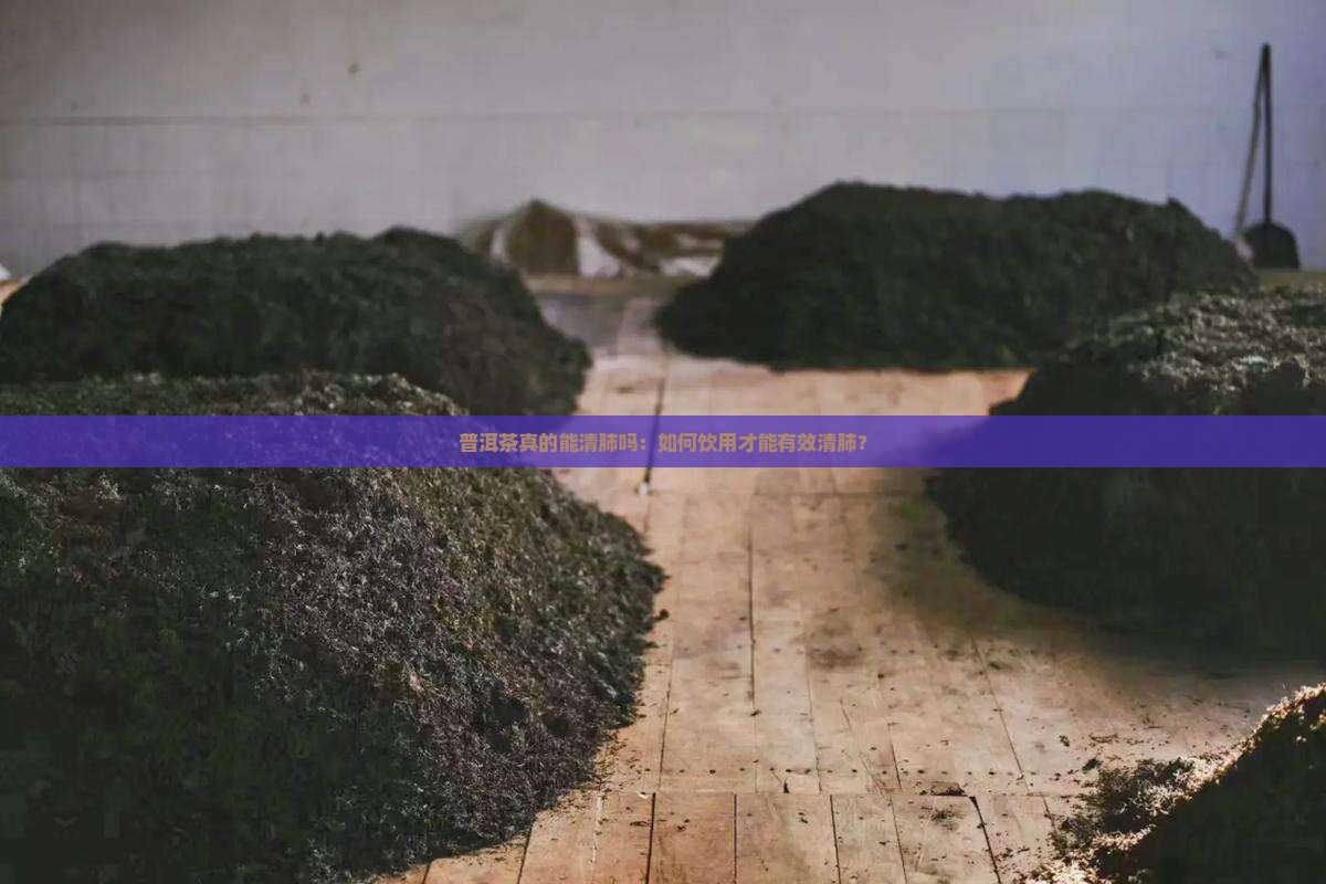 普洱茶真的能清肺吗：如何饮用才能有效清肺？