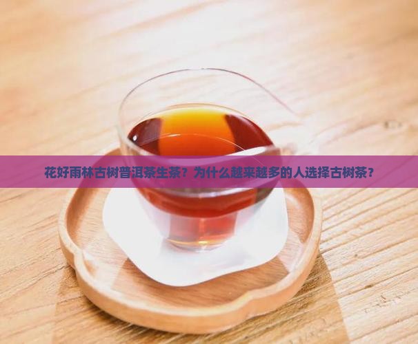 花好雨林古树普洱茶生茶？为什么越来越多的人选择古树茶？