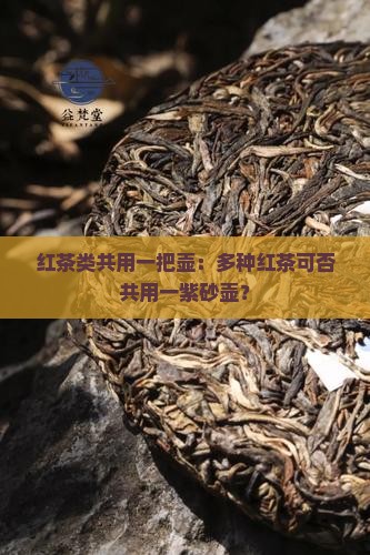 红茶类共用一把壶：多种红茶可否共用一紫砂壶？