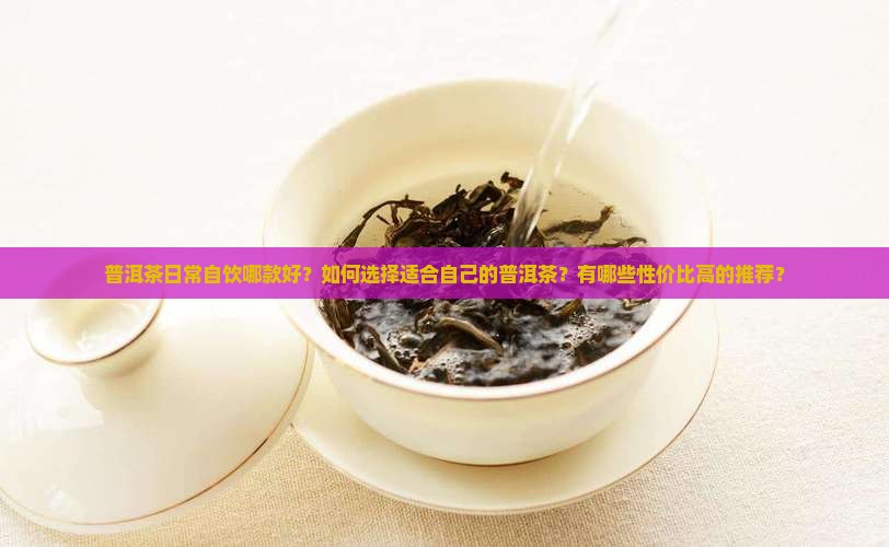 普洱茶日常自饮哪款好？如何选择适合自己的普洱茶？有哪些性价比高的推荐？