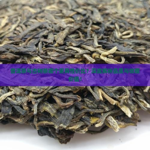 普洱茶与古树茶哪个更具性价比？深度解析品质与收藏价值！