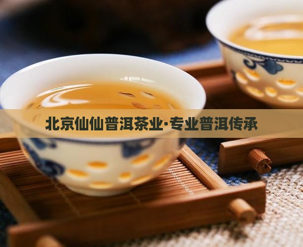 北京仙仙普洱茶业·专业普洱传承