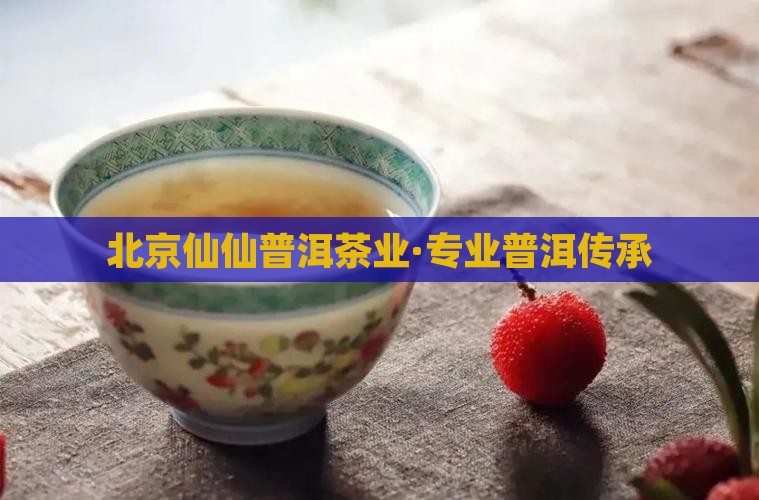 北京仙仙普洱茶业·专业普洱传承