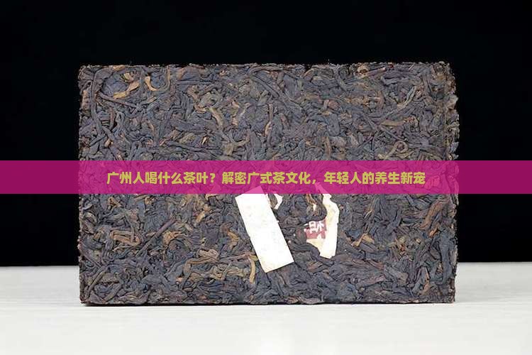 广州人喝什么茶叶？解密广式茶文化，年轻人的养生新宠