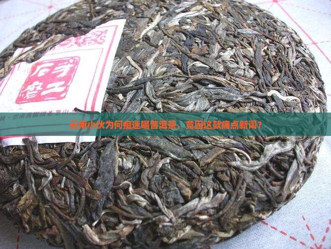 云南小伙为何痴迷喝普洱茶，竟因这款痛点新词？