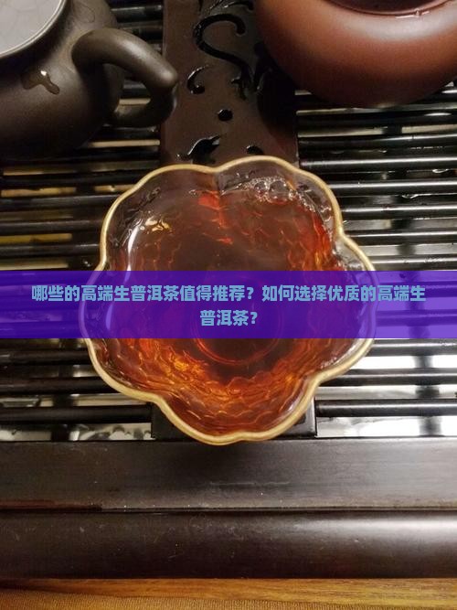 哪些的高端生普洱茶值得推荐？如何选择优质的高端生普洱茶？