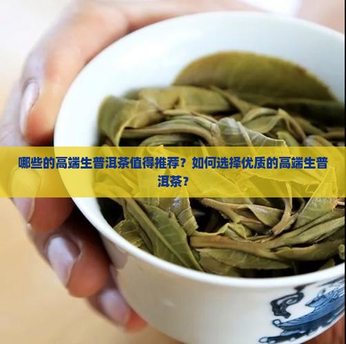 哪些的高端生普洱茶值得推荐？如何选择优质的高端生普洱茶？