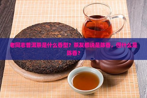 老同志普洱茶是什么香型？茶友都说是陈香，但什么是陈香？
