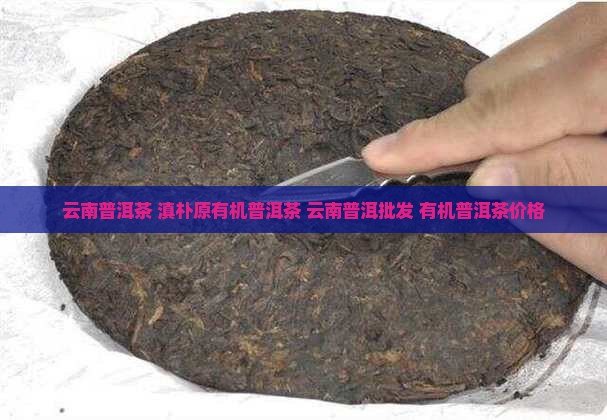 云南普洱茶 滇朴原有机普洱茶 云南普洱批发 有机普洱茶价格