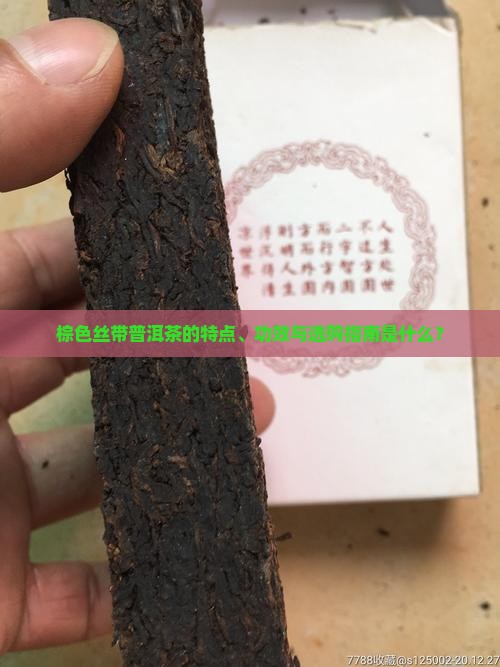 棕色丝带普洱茶的特点、功效与选购指南是什么？