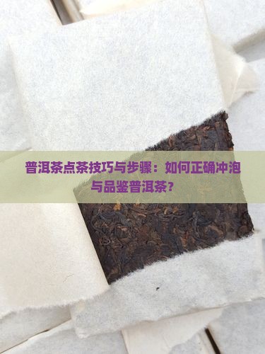 普洱茶点茶技巧与步骤：如何正确冲泡与品鉴普洱茶？