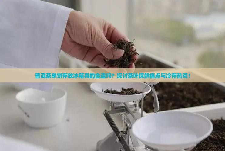普洱茶单饼存放冰箱真的合适吗？探讨茶叶保鲜痛点与冷存热词！