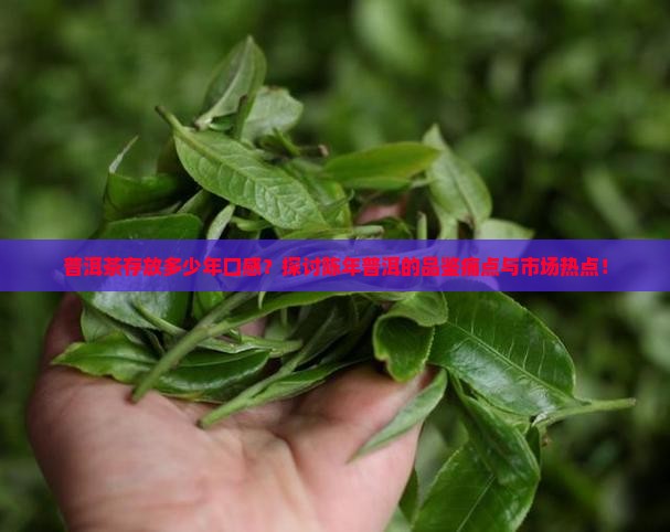 普洱茶存放多少年口感？探讨陈年普洱的品鉴痛点与市场热点！