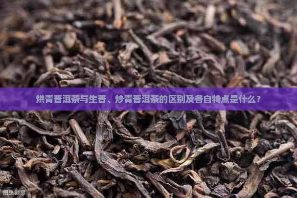 烘青普洱茶与生普、炒青普洱茶的区别及各自特点是什么？