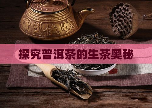探究普洱茶的生茶奥秘