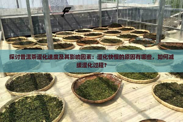探讨普洱茶涩化速度及其影响因素：涩化快慢的原因有哪些，如何减缓涩化过程？