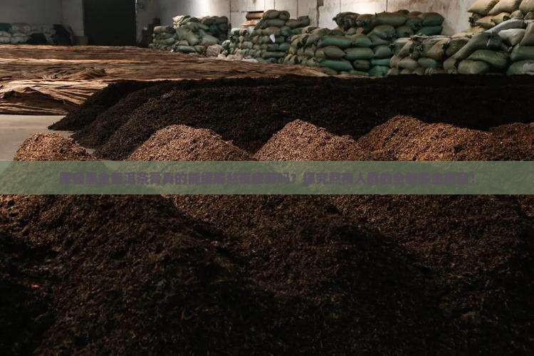 蒙顿黑金普洱茶膏真的能缓解熬夜疲劳吗？探究熬夜人群的全新养生热品！