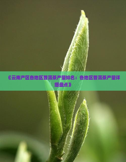 《云南产区各地区普洱茶产量排名：各地区普洱茶产量详细盘点》