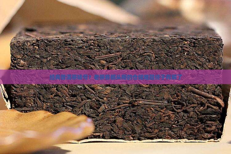 经典普洱茶唛号？老茶客都头疼的仓储难题终于有解了