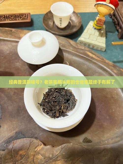 经典普洱茶唛号？老茶客都头疼的仓储难题终于有解了