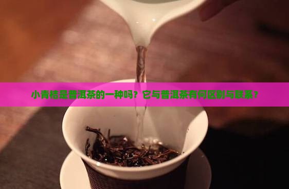 小青桔是普洱茶的一种吗？它与普洱茶有何区别与联系？
