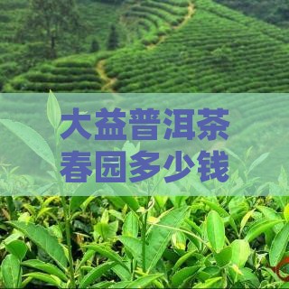 大益普洱茶春园多少钱一盒，春圆价格一览