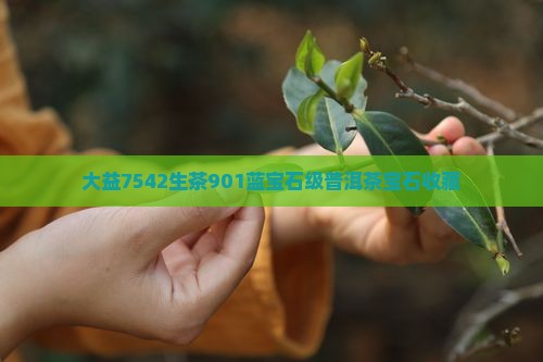 大益7542生茶901蓝宝石级普洱茶宝石收藏