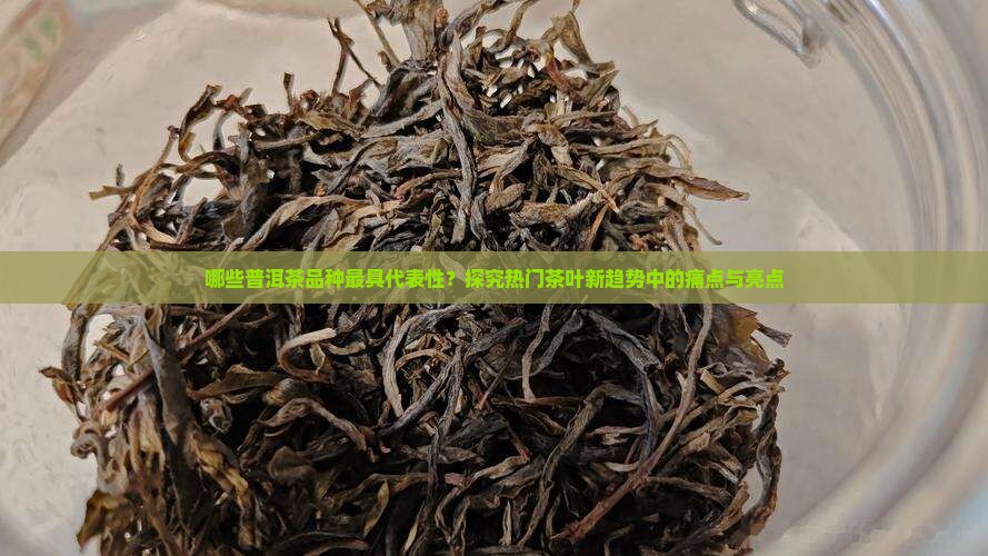 哪些普洱茶品种最具代表性？探究热门茶叶新趋势中的痛点与亮点