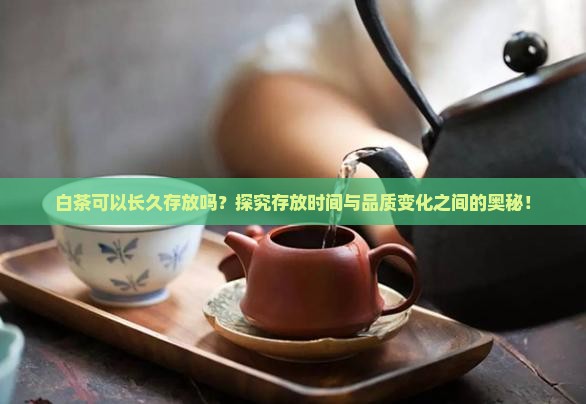 白茶可以长久存放吗？探究存放时间与品质变化之间的奥秘！