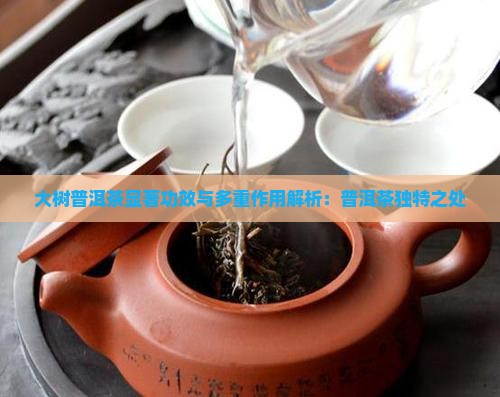 大树普洱茶显著功效与多重作用解析：普洱茶独特之处