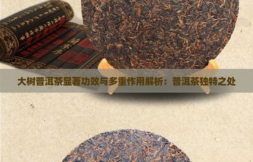 大树普洱茶显著功效与多重作用解析：普洱茶独特之处