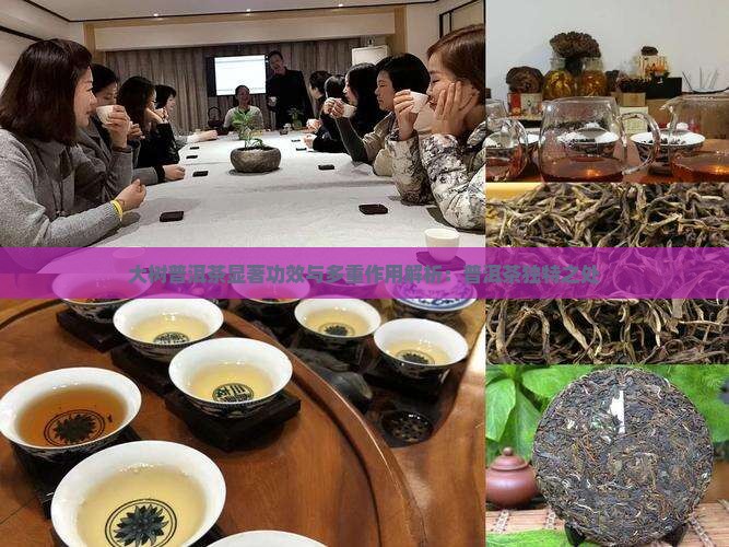 大树普洱茶显著功效与多重作用解析：普洱茶独特之处