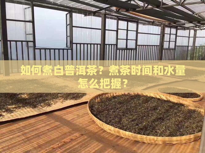 如何煮白普洱茶？煮茶时间和水量怎么把握？