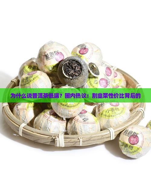 为什么说普洱茶低端？圈内热议：割韭菜性价比背后的