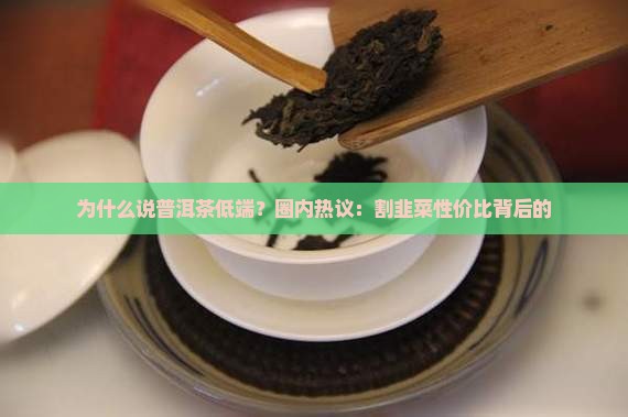 为什么说普洱茶低端？圈内热议：割韭菜性价比背后的