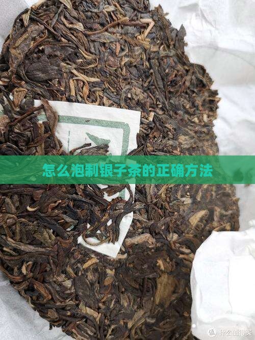 怎么泡制银子茶的正确方法