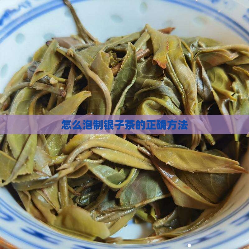 怎么泡制银子茶的正确方法