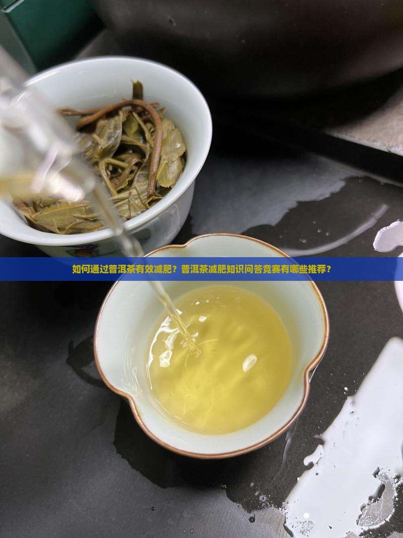 如何通过普洱茶有效减肥？普洱茶减肥知识问答竞赛有哪些推荐？