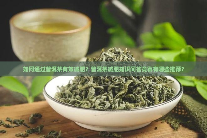 如何通过普洱茶有效减肥？普洱茶减肥知识问答竞赛有哪些推荐？