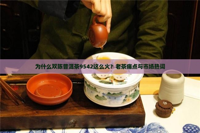 为什么双陈普洱茶9542这么火？老茶痛点与市场热词