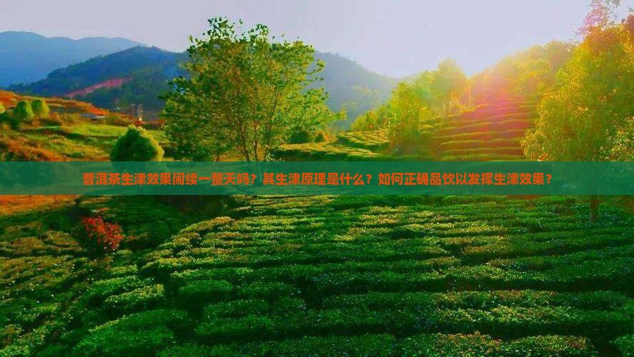 普洱茶生津效果闹续一整天吗？其生津原理是什么？如何正确品饮以发挥生津效果？