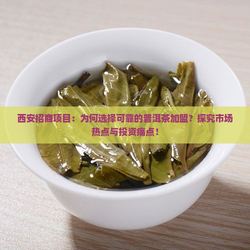 西安招商项目：为何选择可靠的普洱茶加盟？探究市场热点与投资痛点！