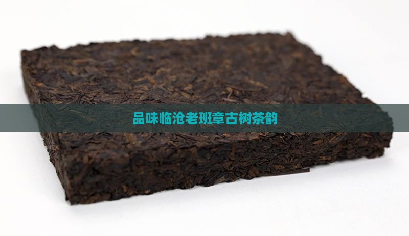 品味临沧老班章古树茶韵