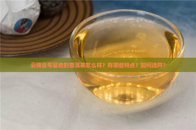 云锦壹号基地的普洱茶怎么样？有哪些特点？如何选购？