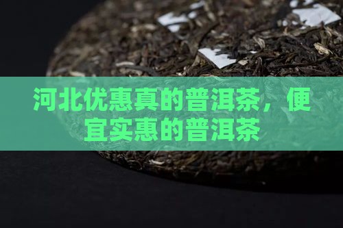 河北优惠真的普洱茶，便宜实惠的普洱茶