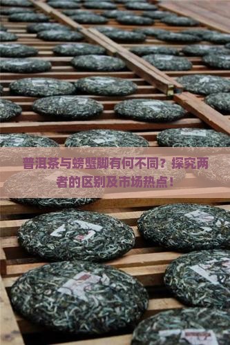 普洱茶与螃蟹脚有何不同？探究两者的区别及市场热点！