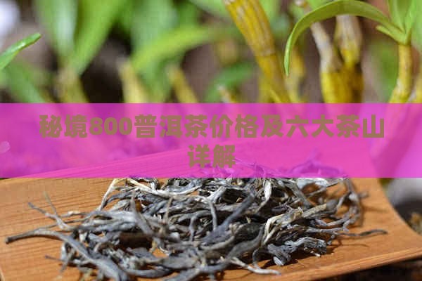 秘境800普洱茶价格及六大茶山详解