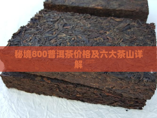 秘境800普洱茶价格及六大茶山详解