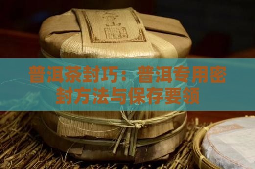 普洱茶封巧：普洱专用密封方法与保存要领